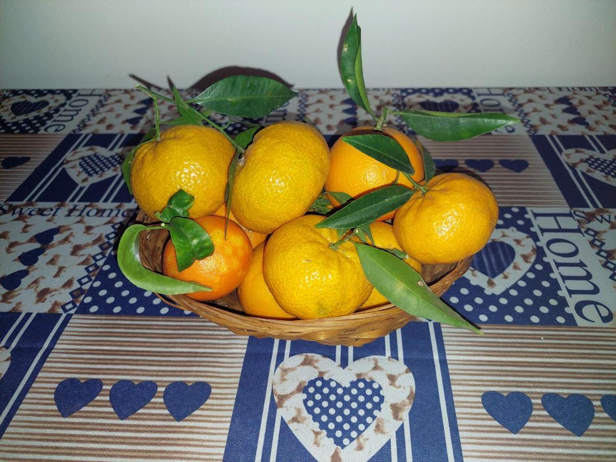 Casetta Relax Da Antonio Menfi Εξωτερικό φωτογραφία
